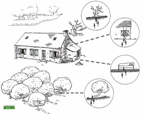 effets des rayonnements de l'eau souterraine effets des rayonnements de l'eau souterraine