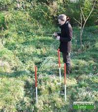 détection eau avec antennes parallèles par un géobiologue