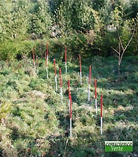 tracé eau souterraine par géobiologue 