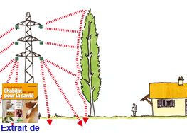 le champ électrique est stoppé par l'arbre, mais pas le champ magnétique